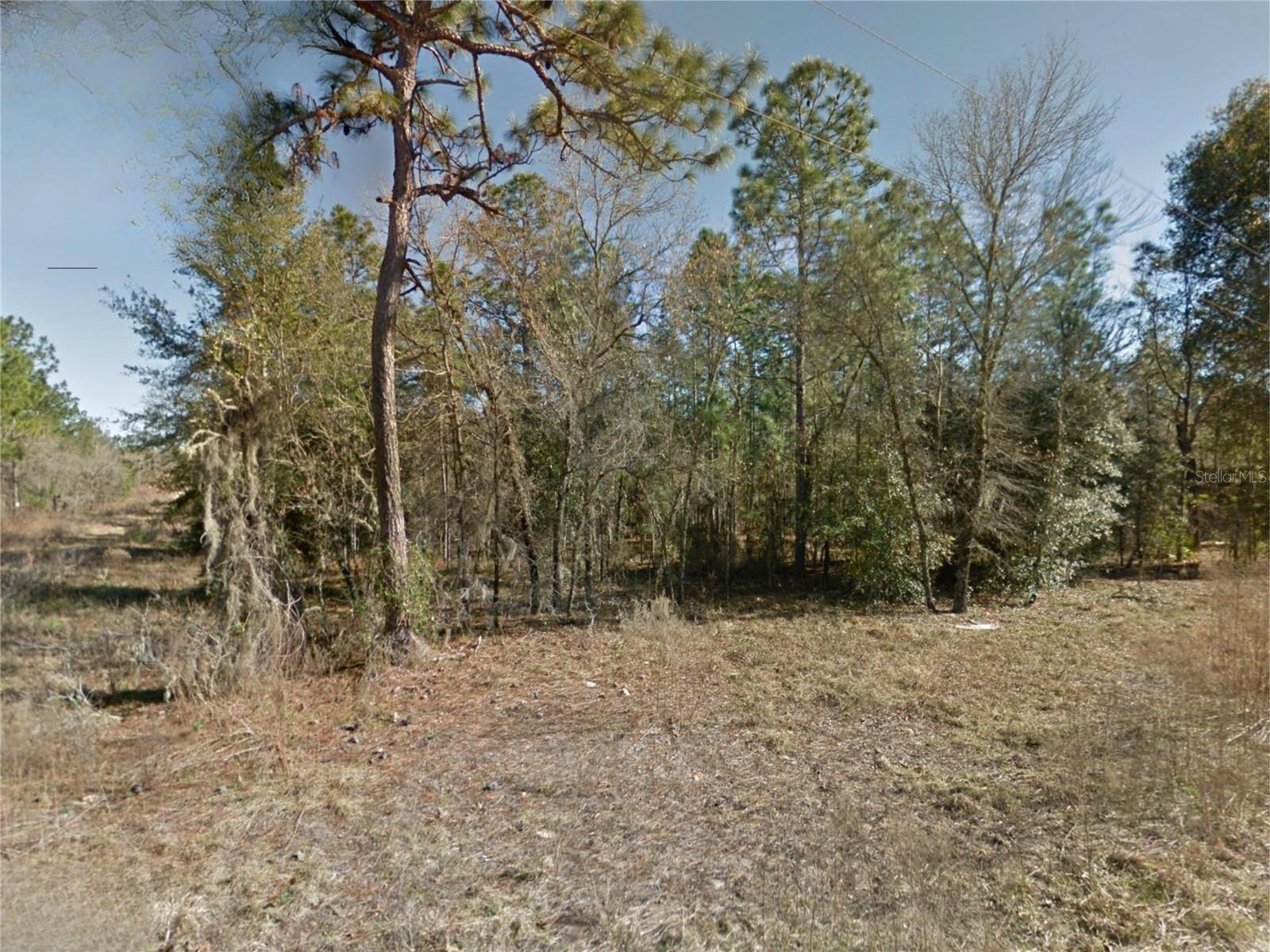 NE 15TH LN LOT 11, WILLISTON, FL — photo 5