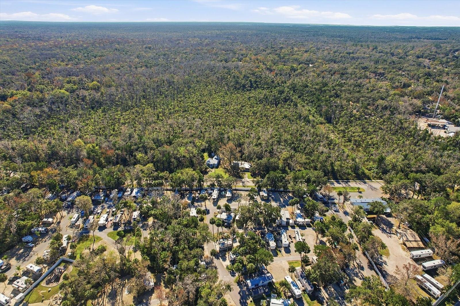 10170 W YULEE DR, HOMOSASSA, FL — photo 49