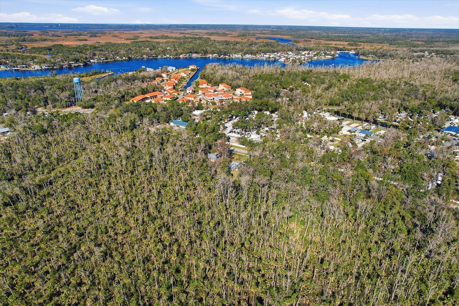 10170 W YULEE DR, HOMOSASSA, FL — photo 50