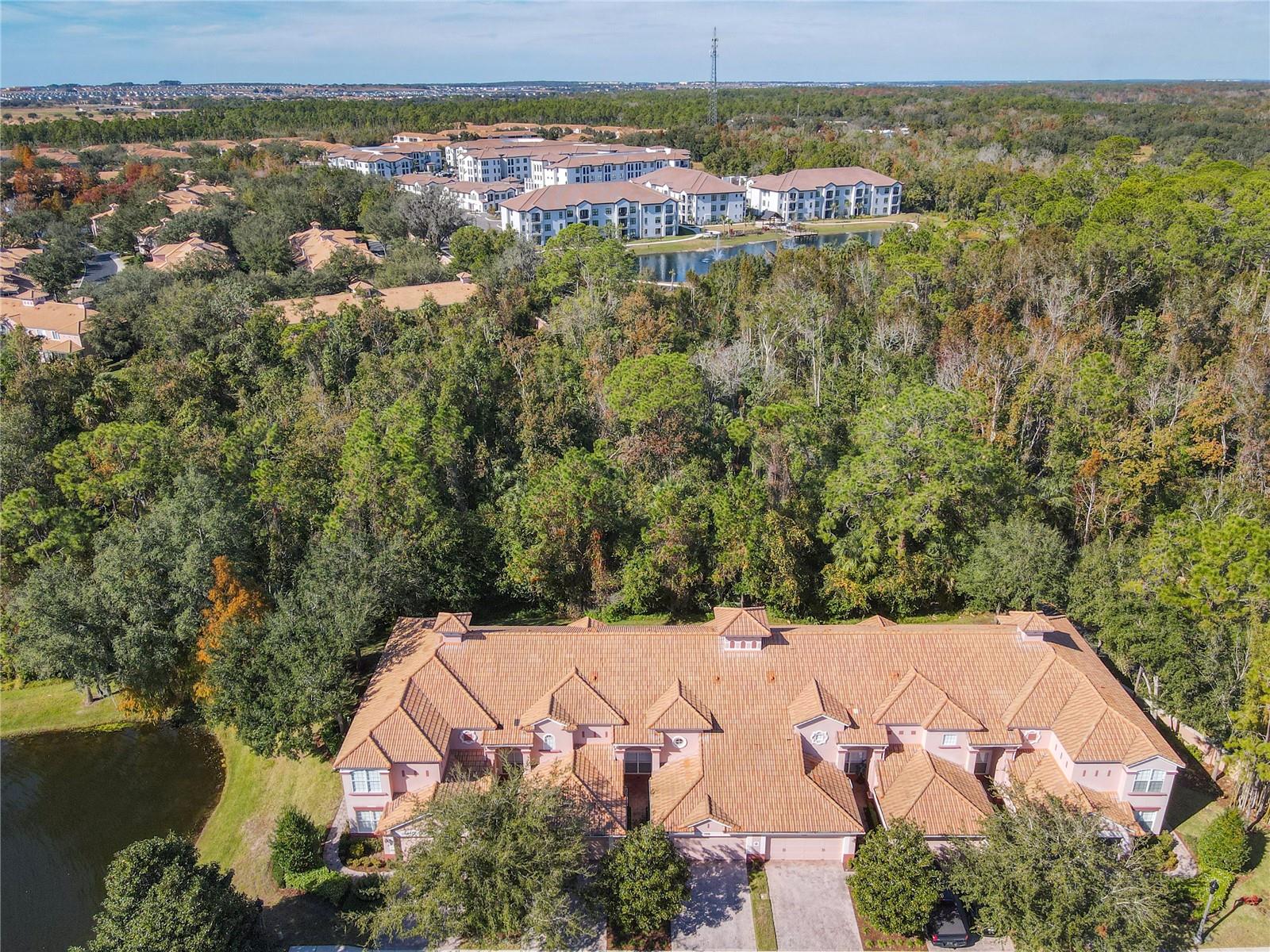 1300 GILFORD POINT LN, DAVENPORT, FL — photo 3
