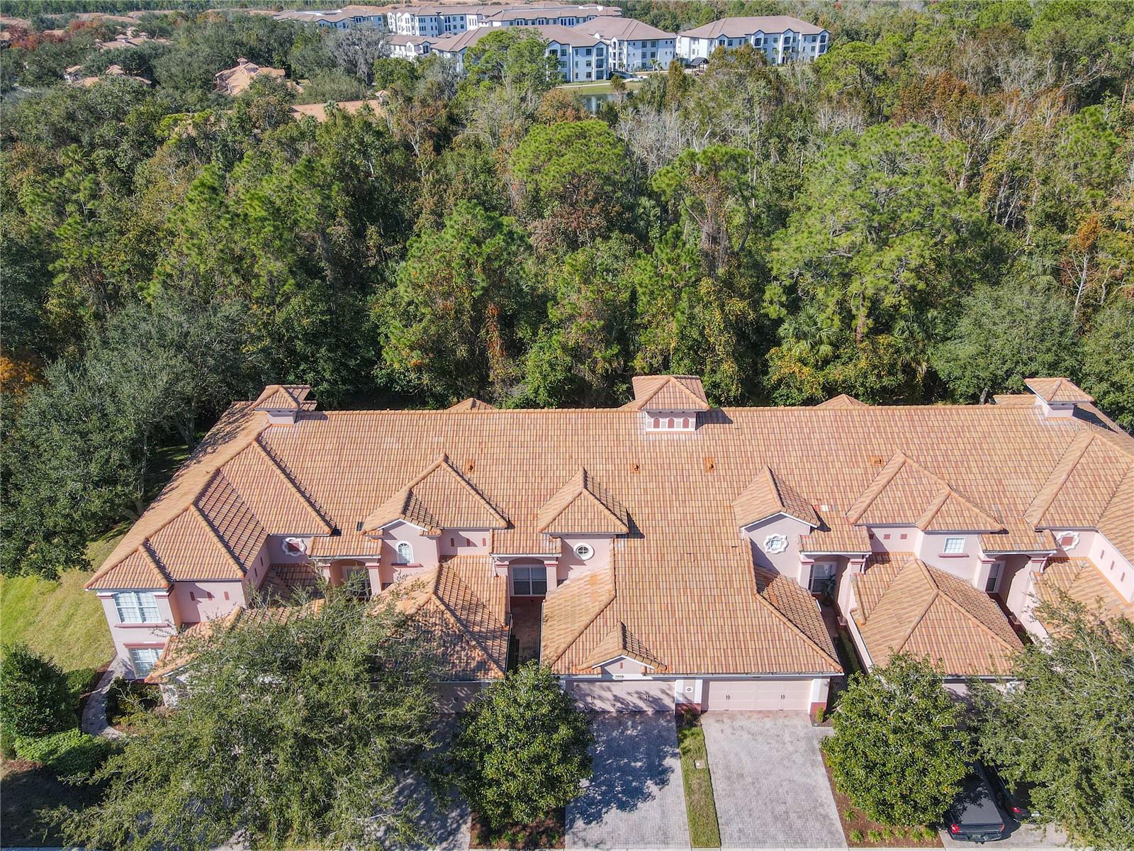 1300 GILFORD POINT LN, DAVENPORT, FL — photo 4