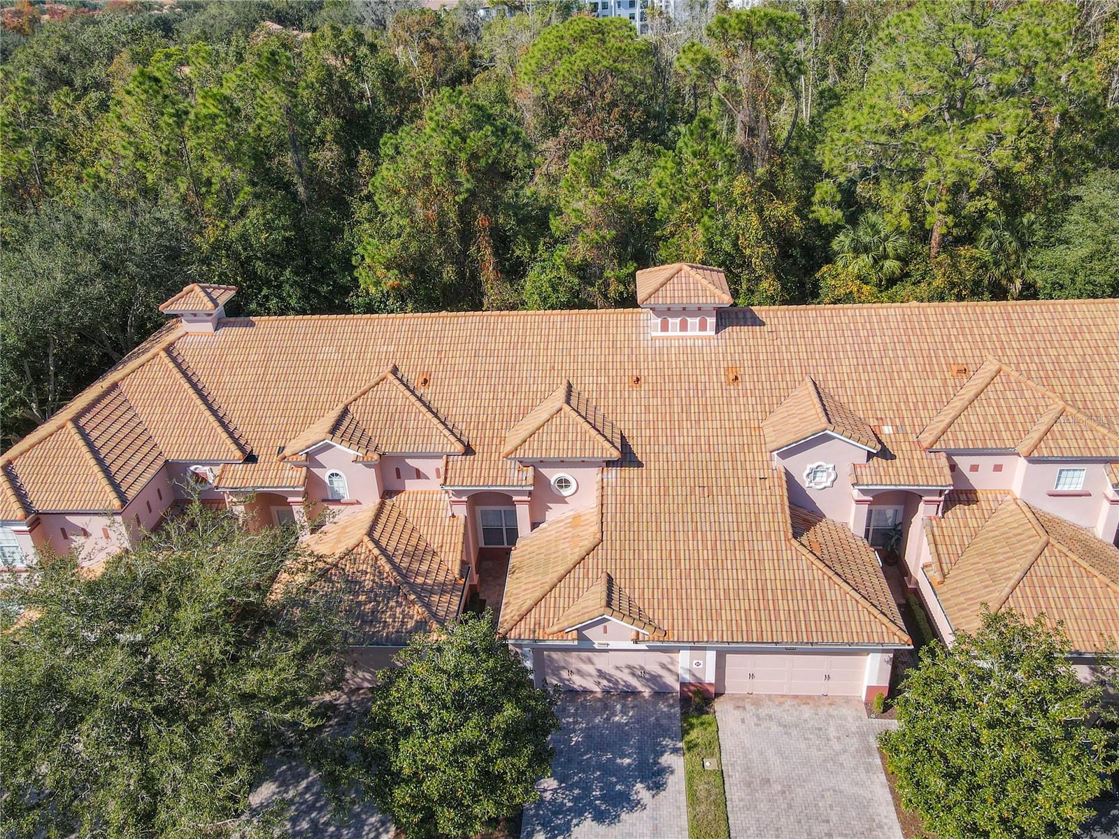 1300 GILFORD POINT LN, DAVENPORT, FL — photo 5
