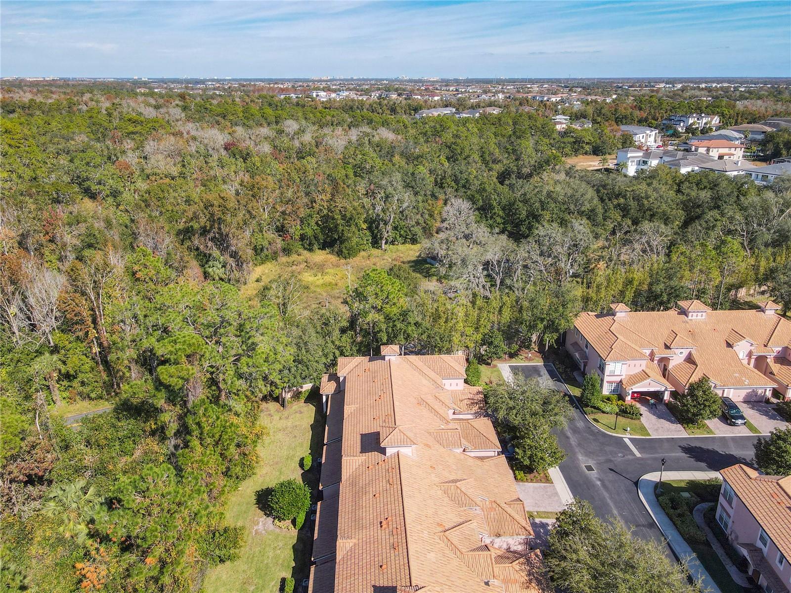 1300 GILFORD POINT LN, DAVENPORT, FL — photo 61