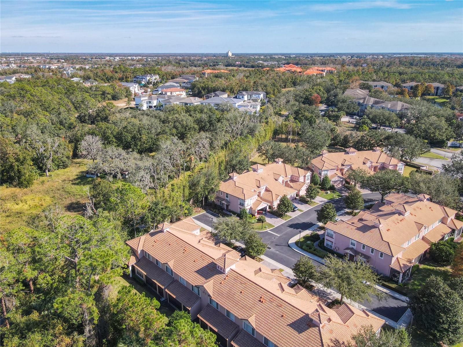 1300 GILFORD POINT LN, DAVENPORT, FL — photo 62