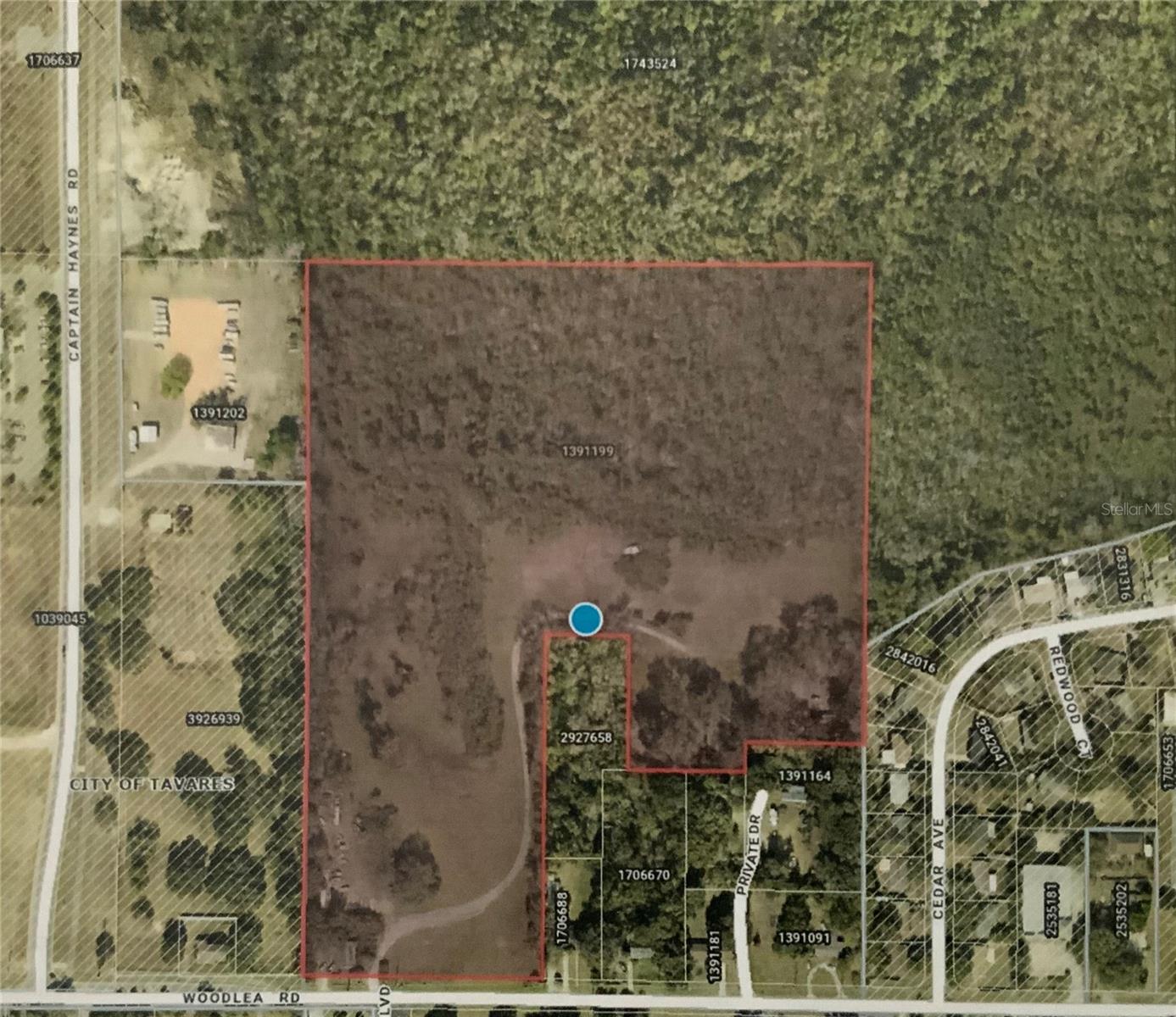 12301 WOODLEA RD, TAVARES, FL