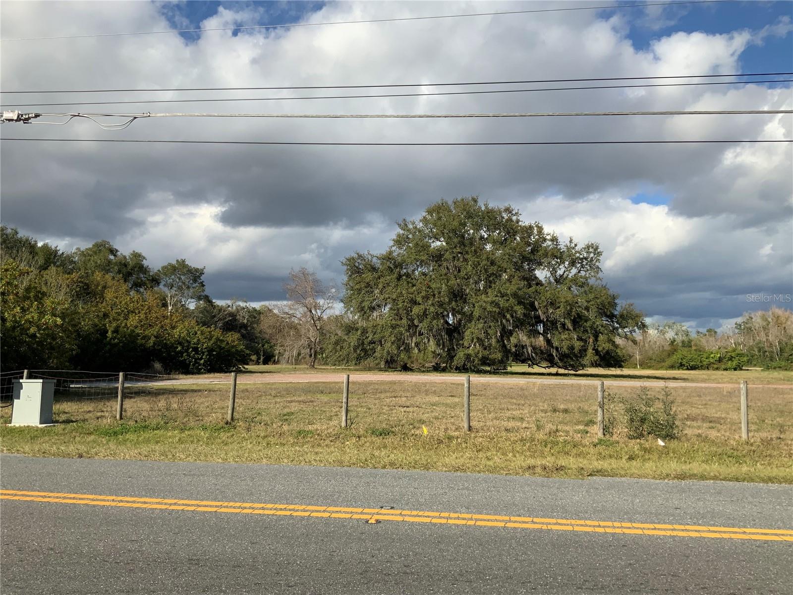 12301 WOODLEA RD, TAVARES, FL — photo 3