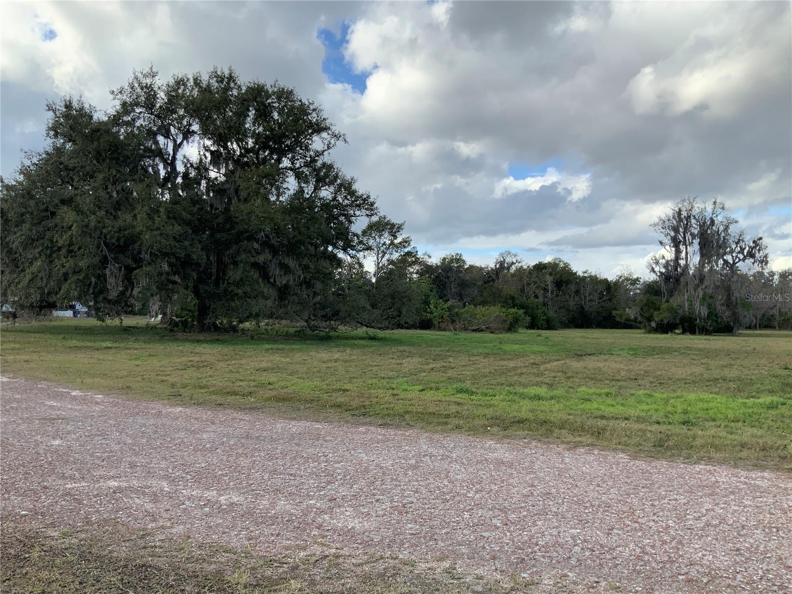 12301 WOODLEA RD, TAVARES, FL — photo 8