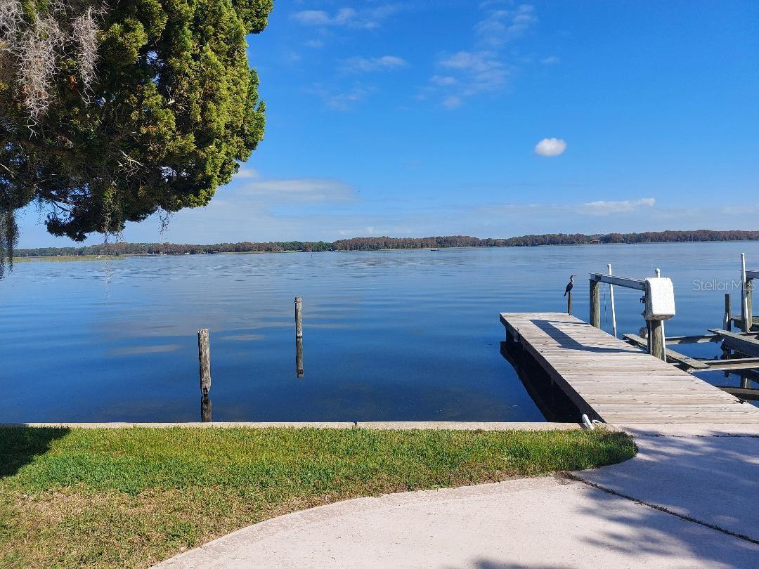 272 PHILADELPHIA BLVD #48, PALM HARBOR, FL — photo 15
