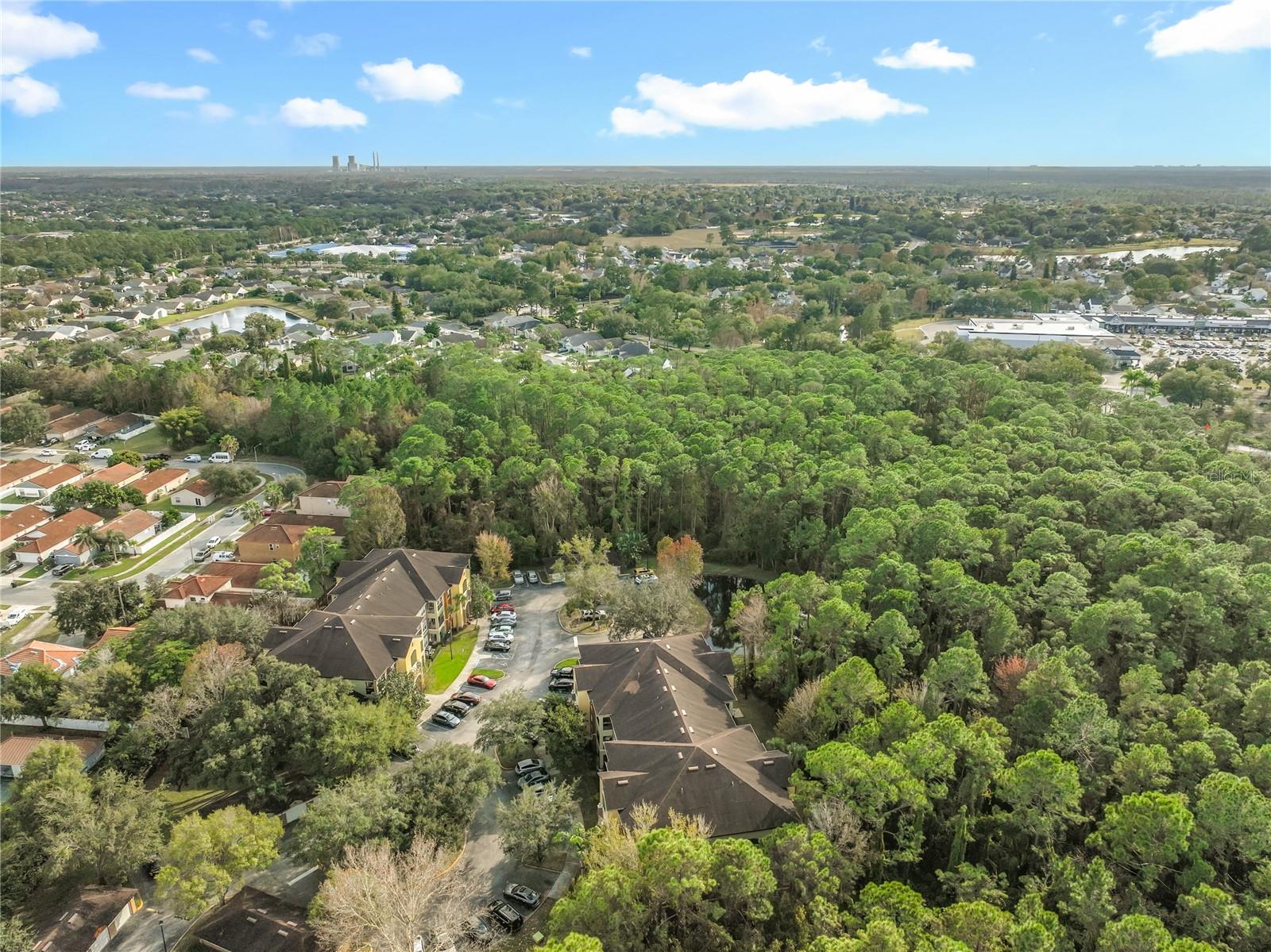 12602 CREST SPRINGS LN #1333, ORLANDO, FL — photo 88