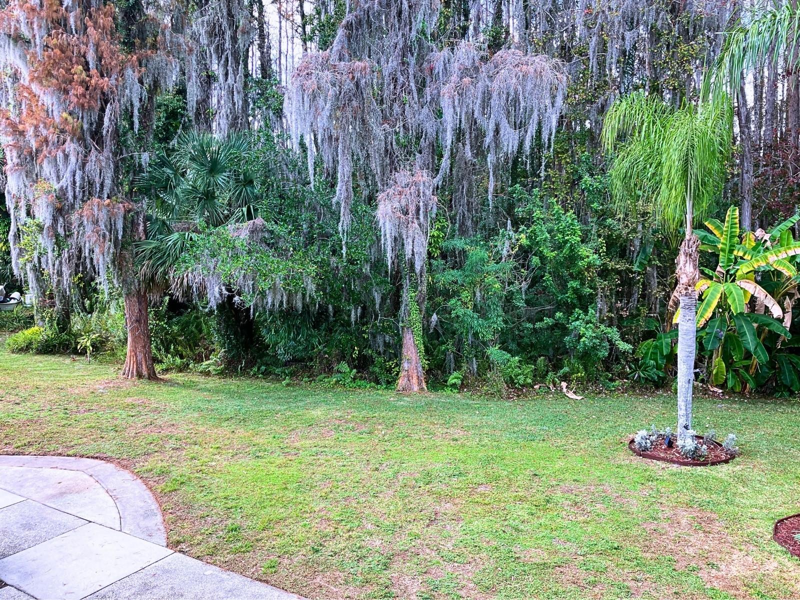 20921 HAULOVER CV #F14, LUTZ, FL — photo 7