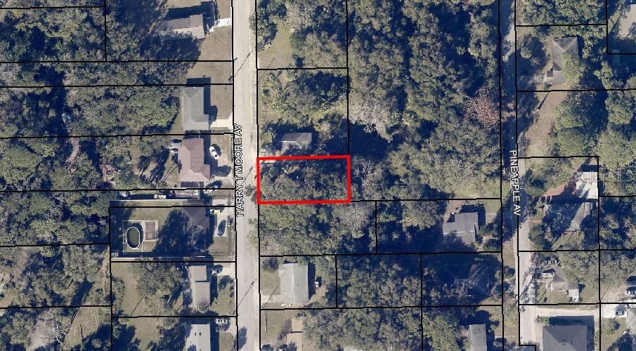 2735 HARRY T MOORE AVE, MIMS, FL — photo 3