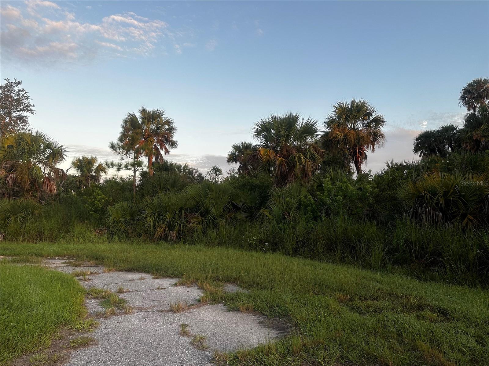 DUNE CT, NORTH PORT, FL — photo 3