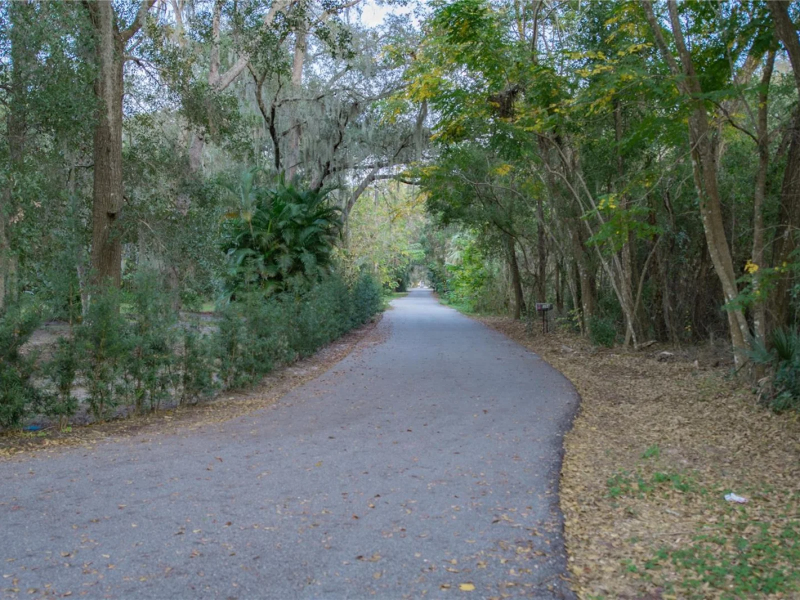 136 NINTH ST, LAKE MARY, FL — photo 14