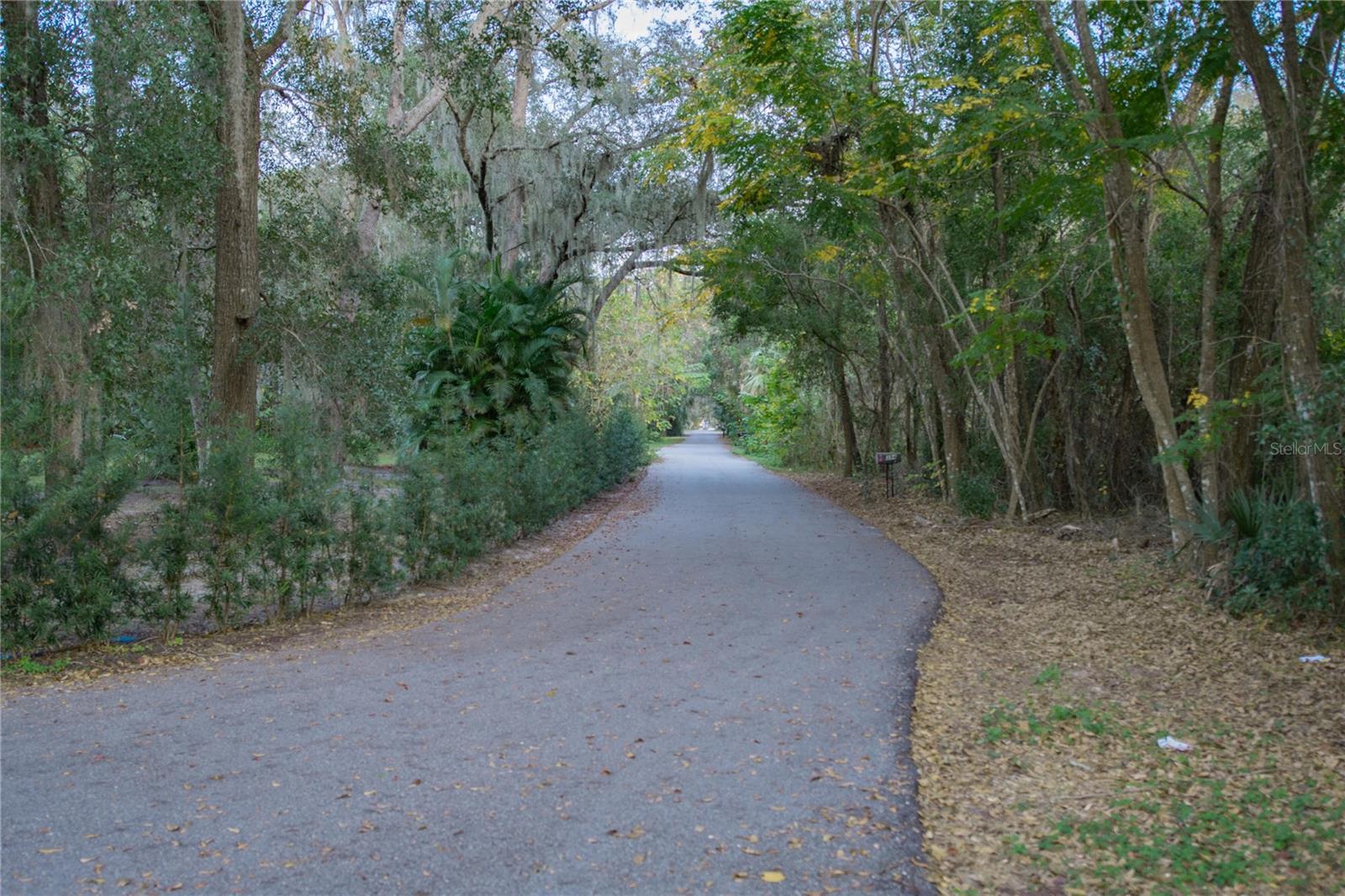 136 NINTH ST, LAKE MARY, FL — photo 13