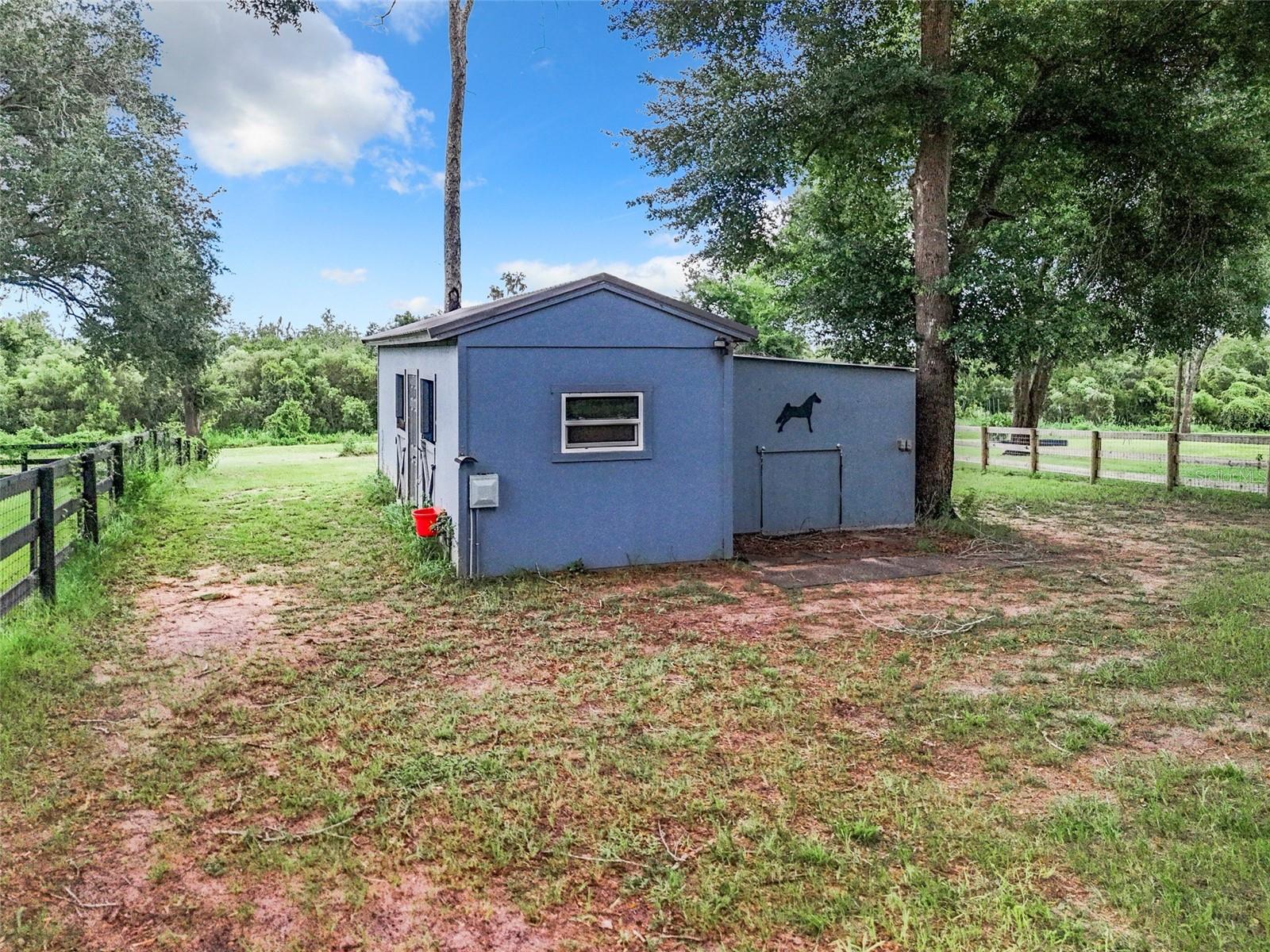 20404 WOLF SPRINGS CT, CLERMONT, FL — photo 9