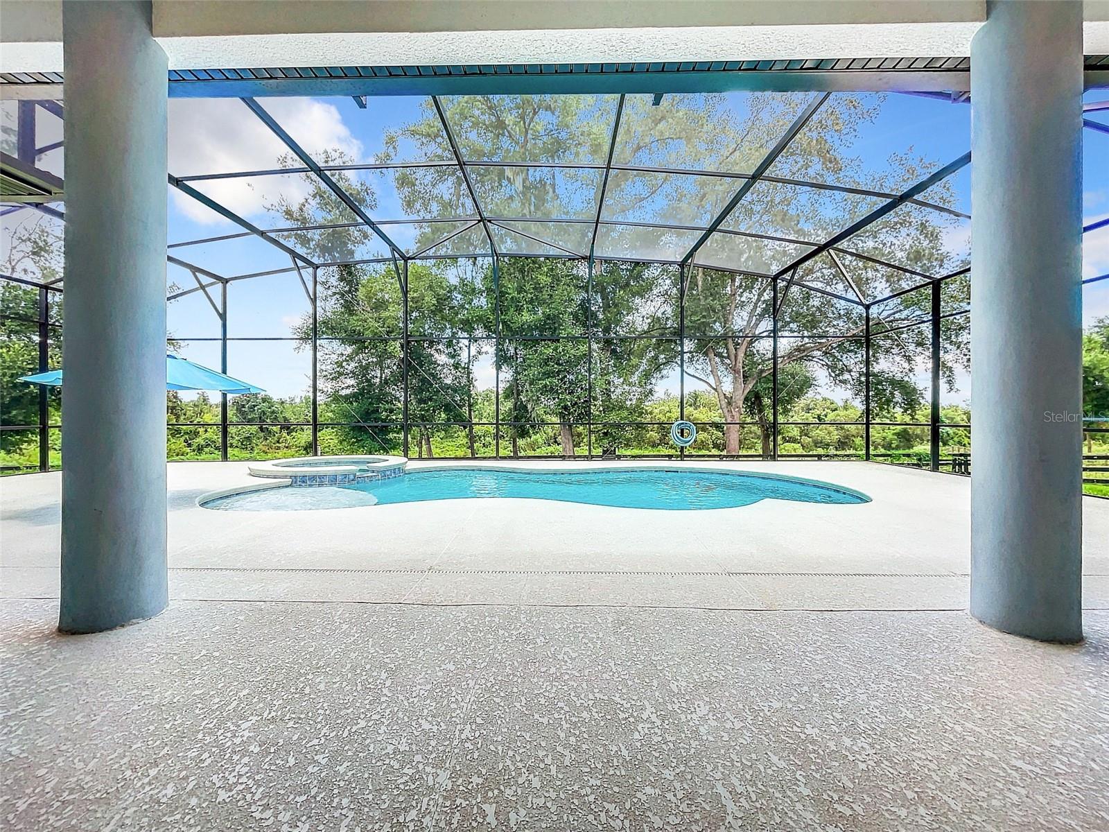 20404 WOLF SPRINGS CT, CLERMONT, FL — photo 7