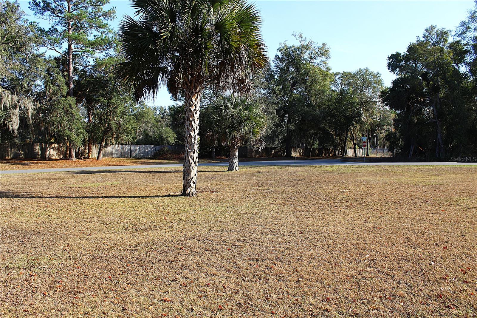 NE 6TH PL, SILVER SPRINGS, FL — photo 2