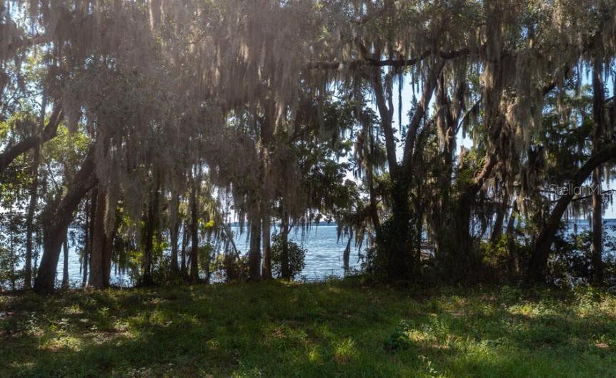 254 ST JOHNS DR, PALATKA, FL — photo 12