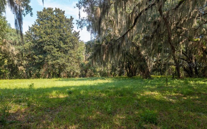 254 ST JOHNS DR, PALATKA, FL — photo 13
