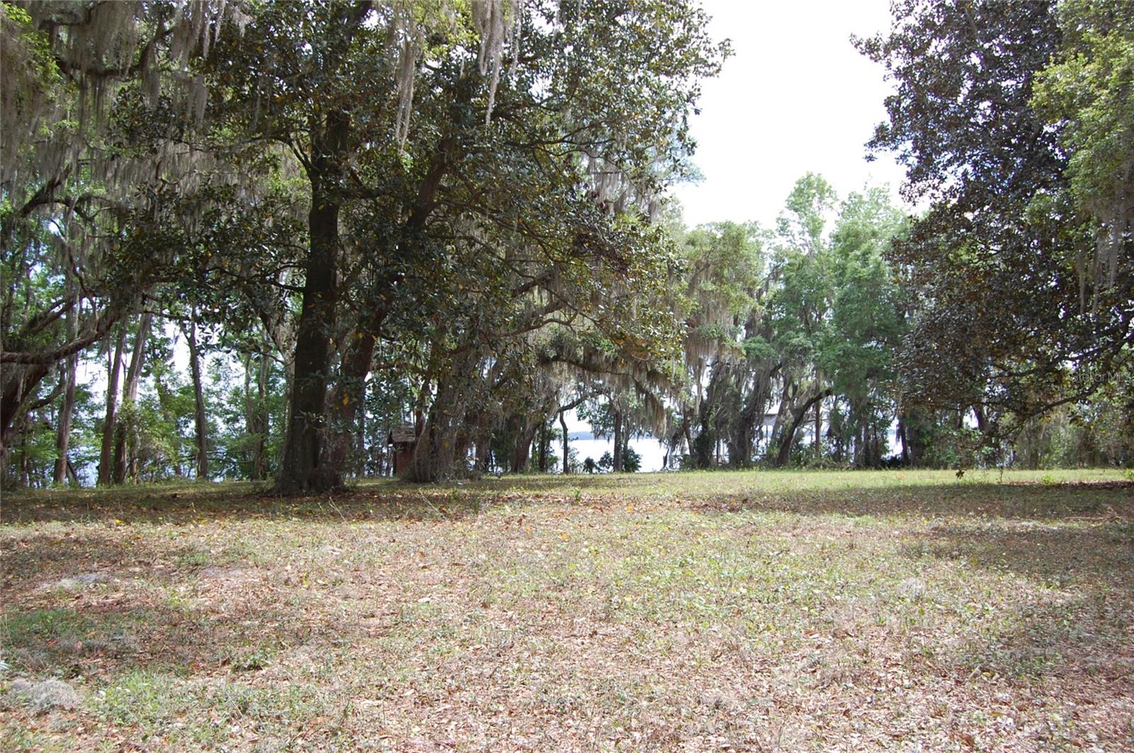 254 ST JOHNS DR, PALATKA, FL — photo 16