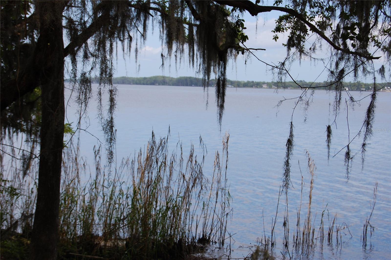 254 ST JOHNS DR, PALATKA, FL — photo 19