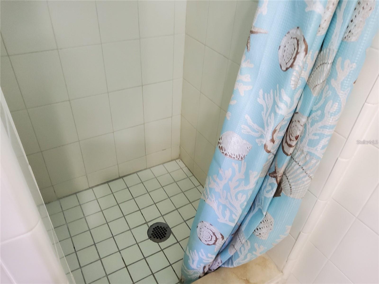 603 MANDALAY AVE #212, CLEARWATER, FL — photo 8