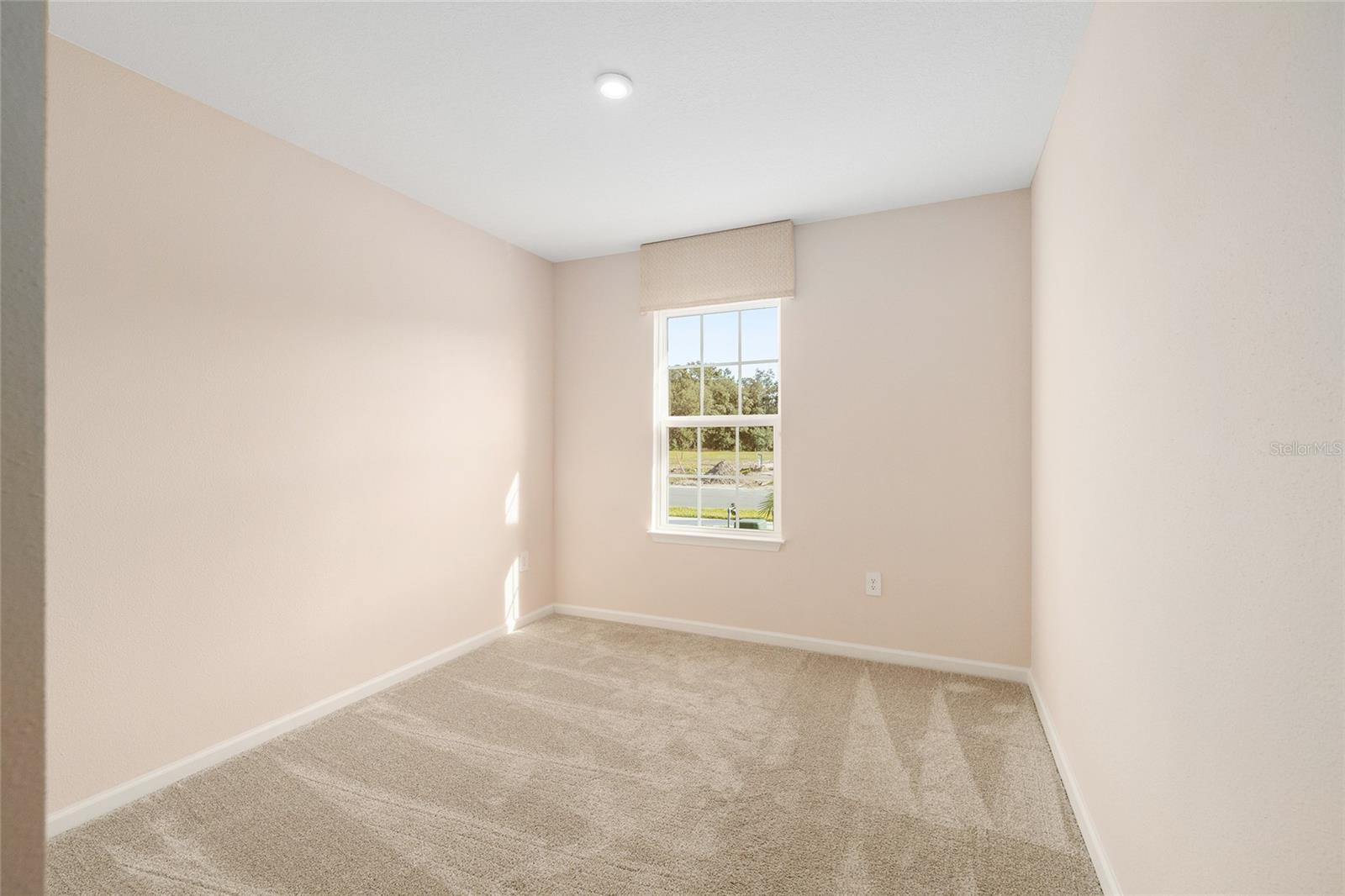 1183 TURTLE ISLAND RD, LADY LAKE, FL — photo 47