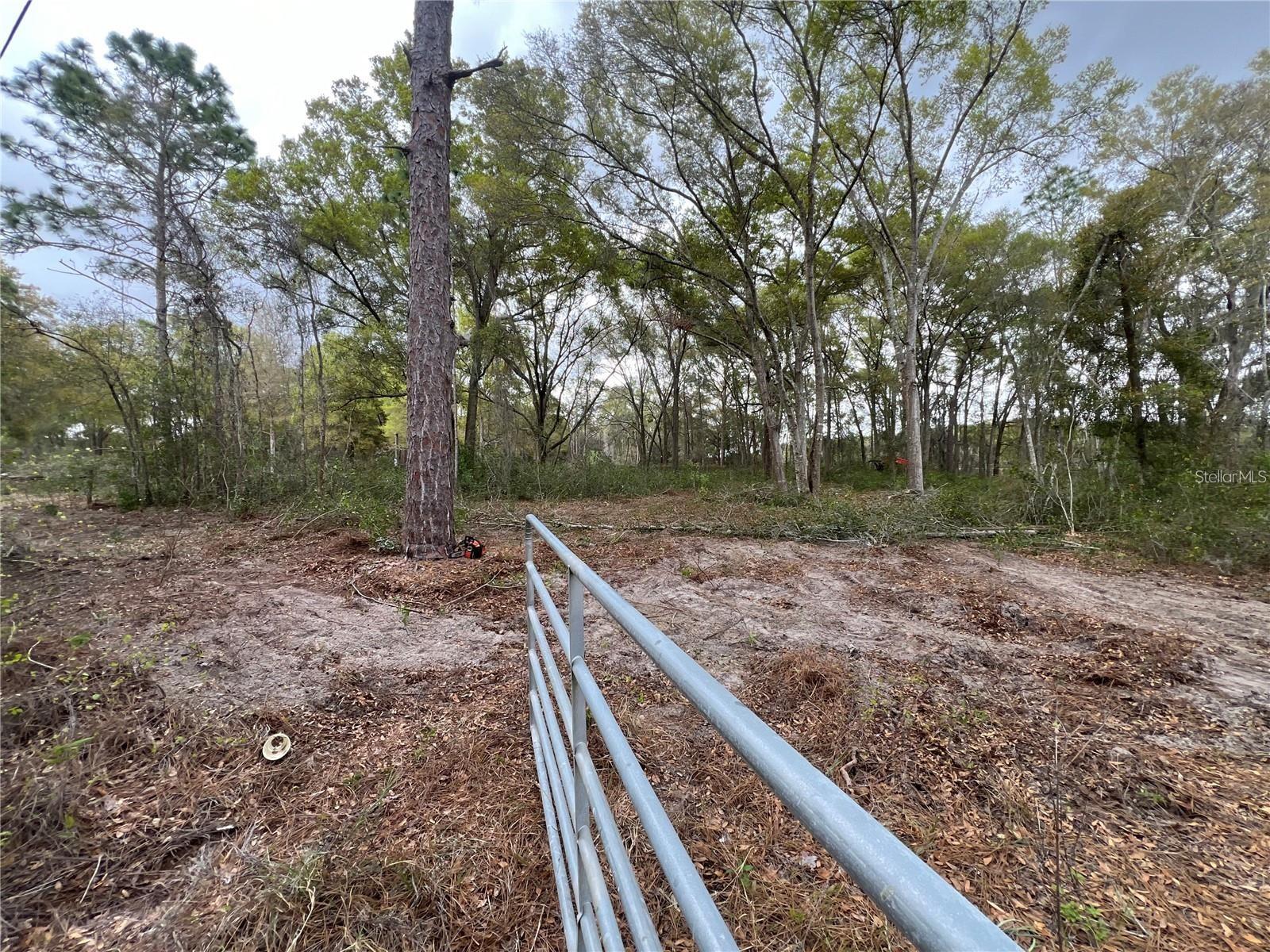 15574 ROCKINGHAM LN, SPRING HILL, FL — photo 3