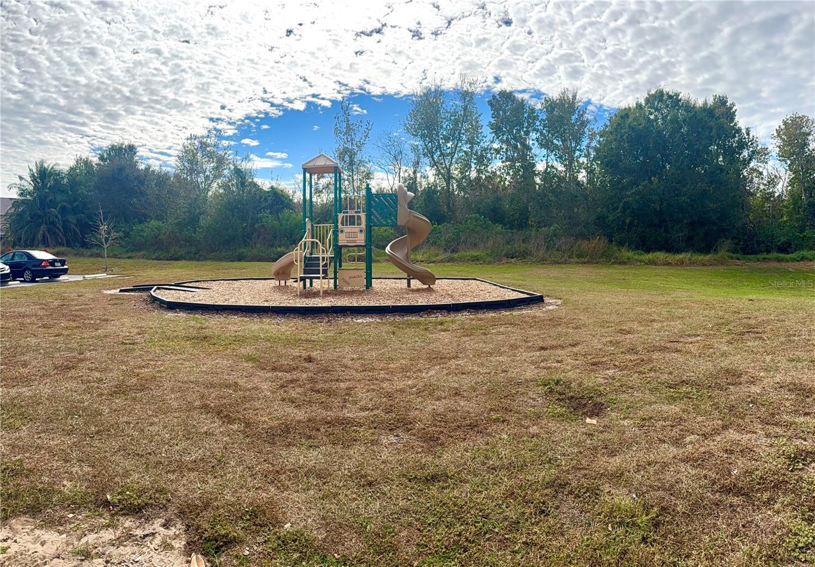 1241 YELLOW FINCH DR, DAVENPORT, FL — photo 40