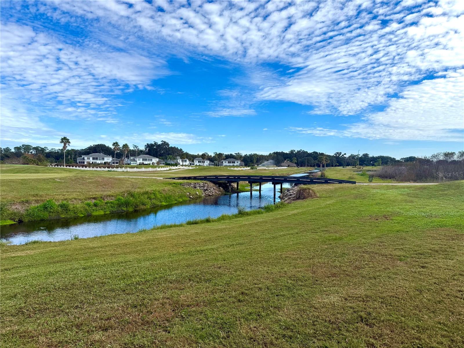 1241 YELLOW FINCH DR, DAVENPORT, FL — photo 42