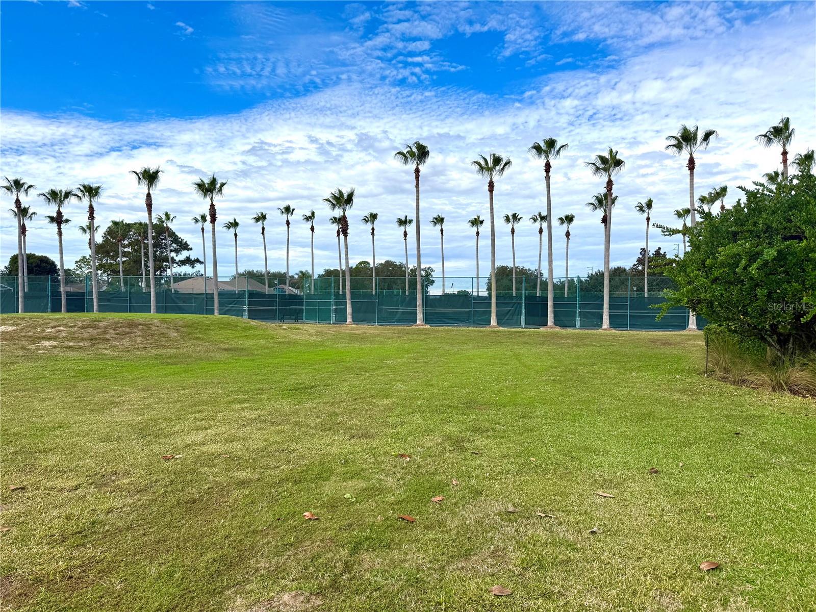 1241 YELLOW FINCH DR, DAVENPORT, FL — photo 45