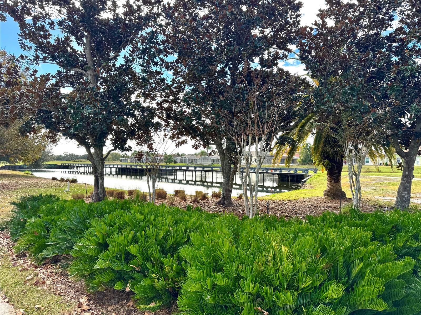 1241 YELLOW FINCH DR, DAVENPORT, FL — photo 46