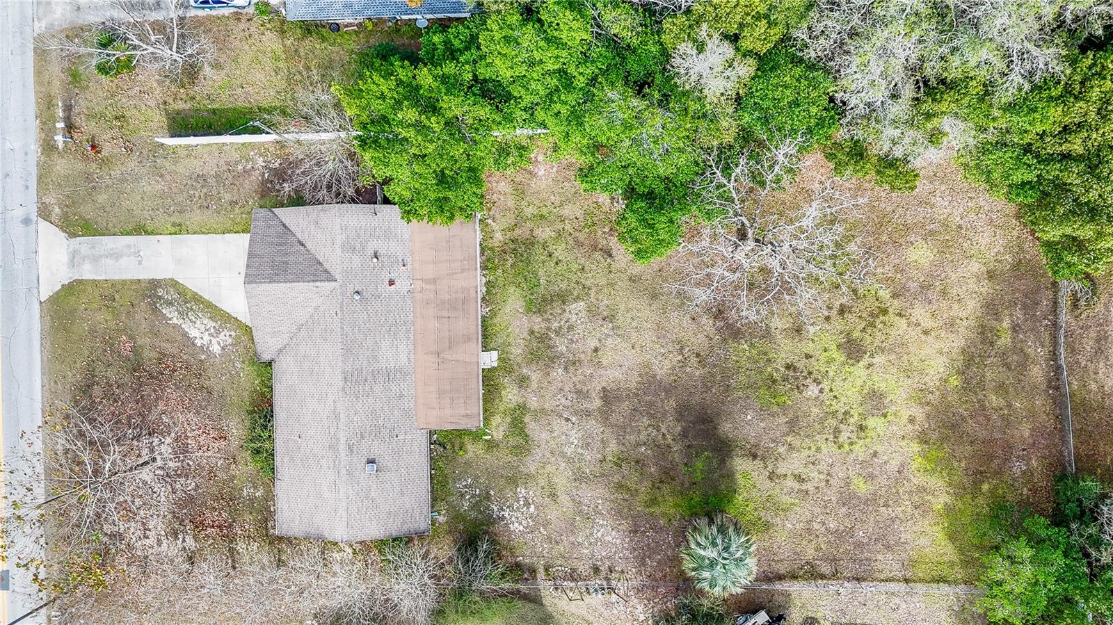 831 NE 41ST AVE, OCALA, FL — photo 45