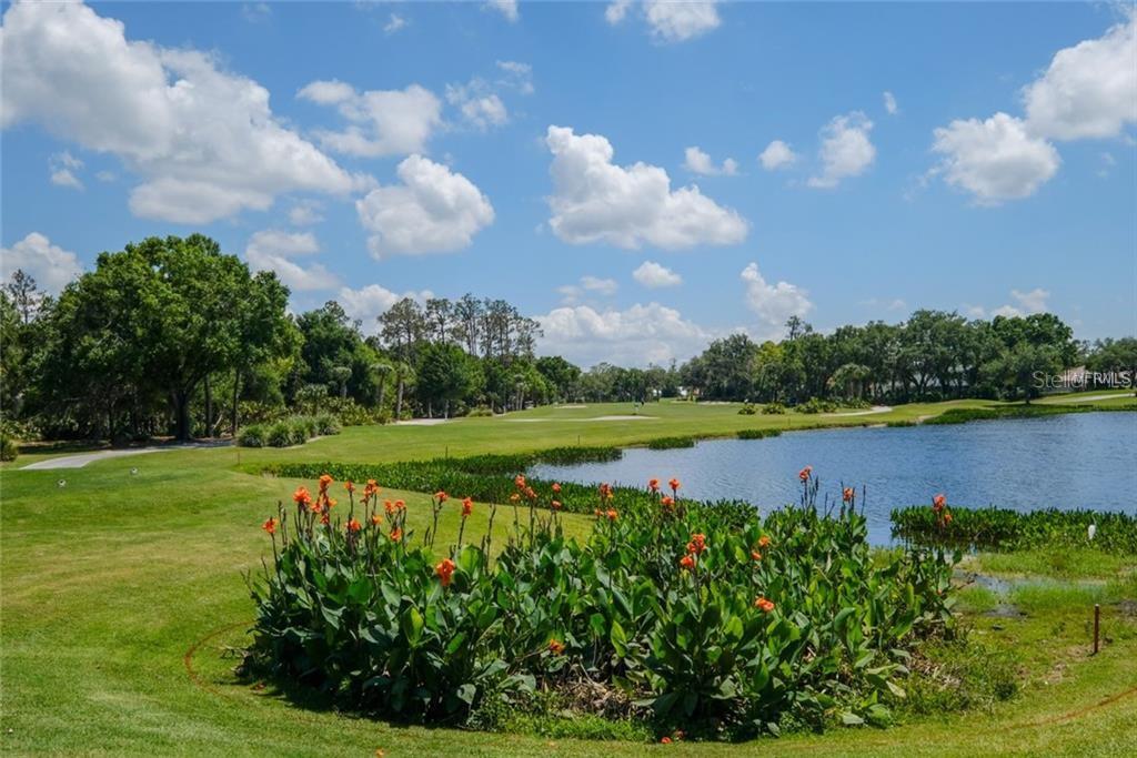 6713 STONE RIVER RD #203, BRADENTON, FL — photo 51