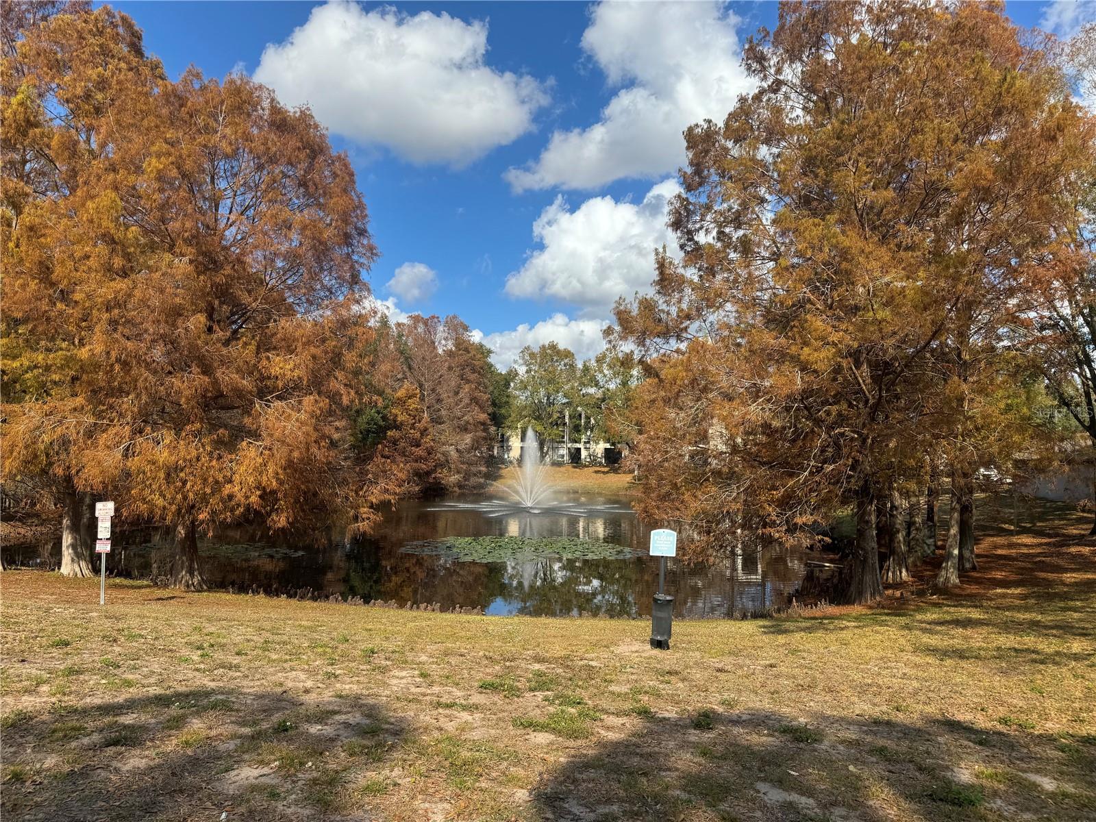 7605 PISSARRO DR #13108, ORLANDO, FL — photo 10