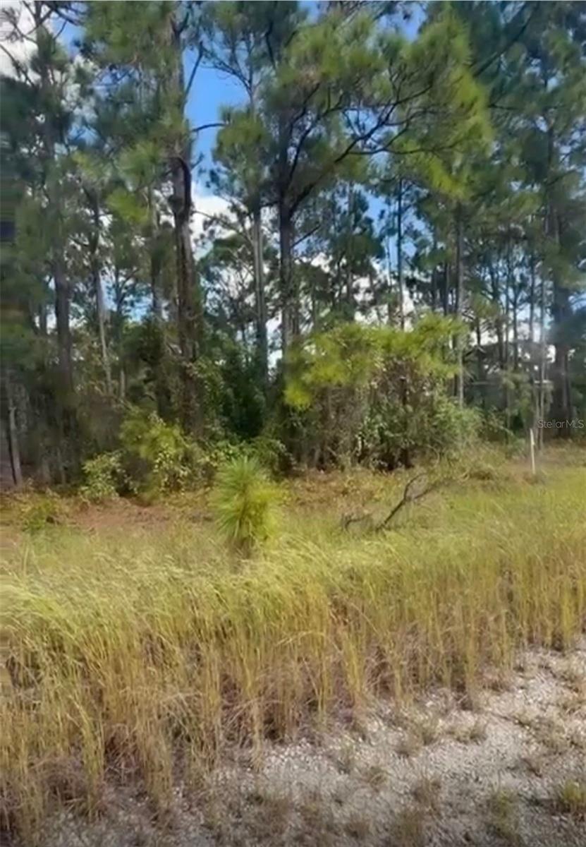 334 SUN CT, LAKE PLACID, FL