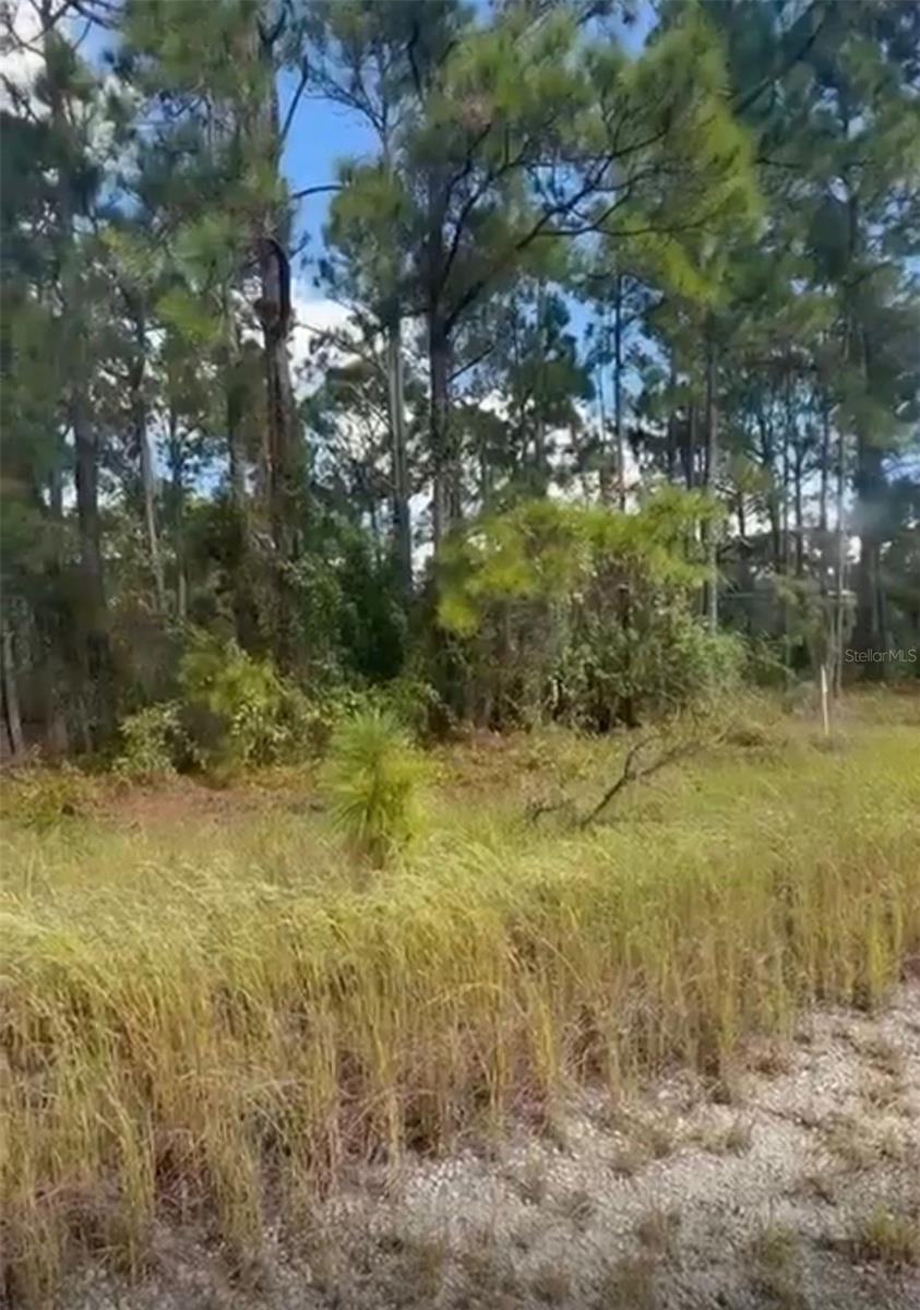 334 SUN CT, LAKE PLACID, FL — photo 6
