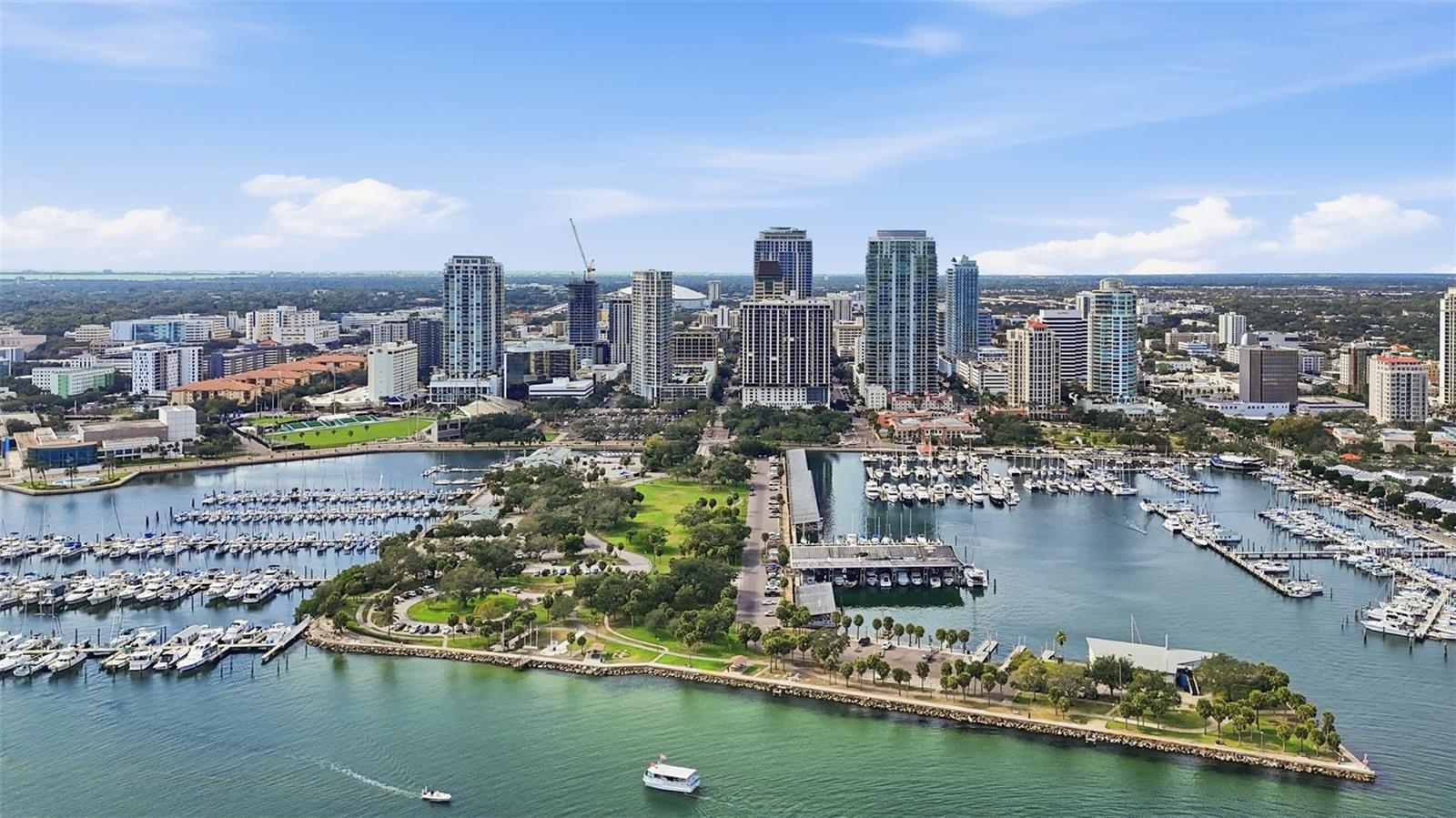 1 BEACH DR SE #1610, ST PETERSBURG, FL