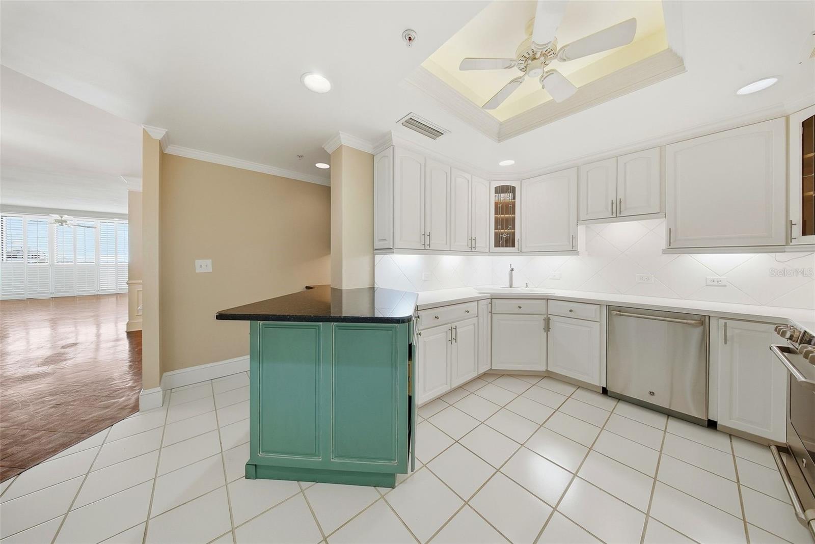 1 BEACH DR SE #1610, ST PETERSBURG, FL — photo 12