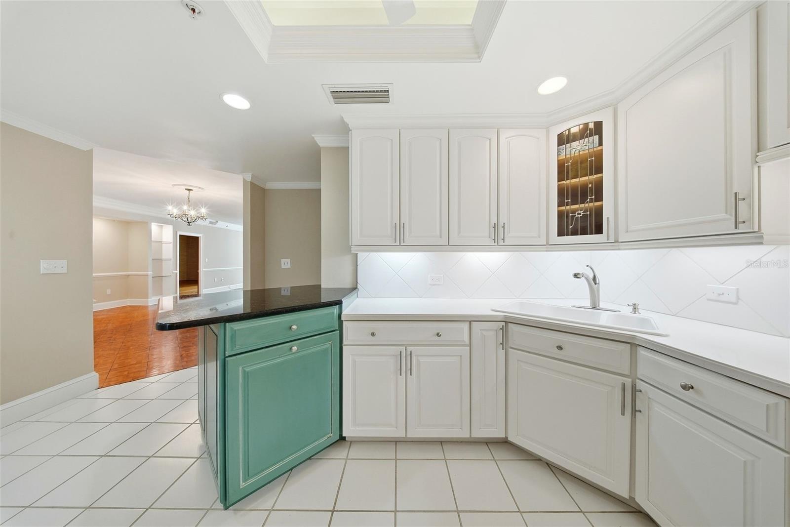 1 BEACH DR SE #1610, ST PETERSBURG, FL — photo 13