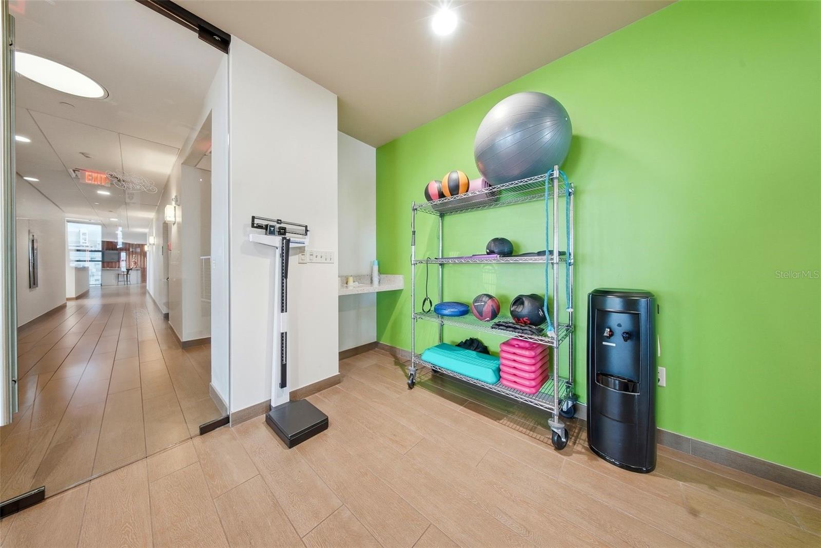 1 BEACH DR SE #1610, ST PETERSBURG, FL — photo 45