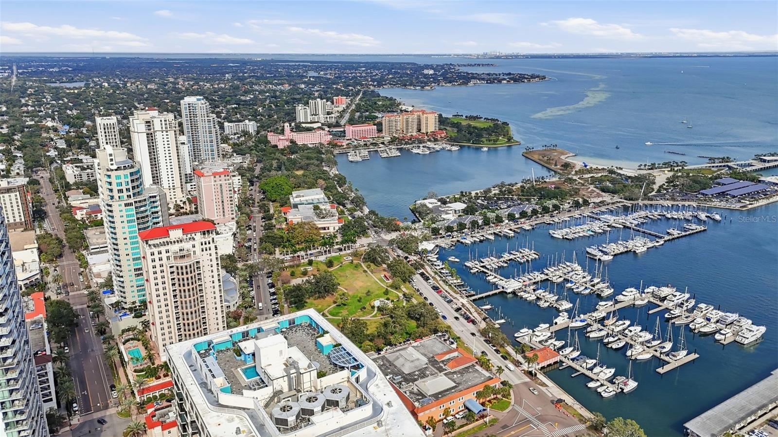 1 BEACH DR SE #1610, ST PETERSBURG, FL — photo 50