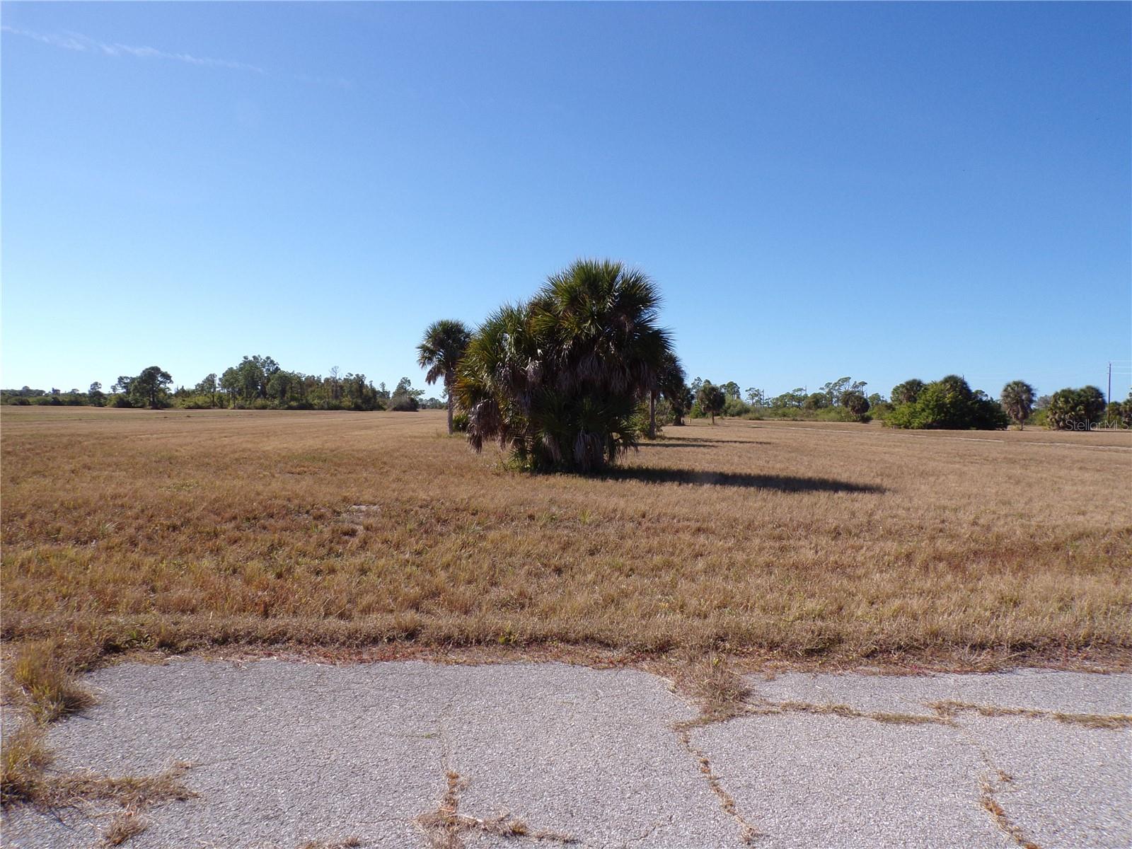 12074 SALITPA CT, PLACIDA, FL — photo 5