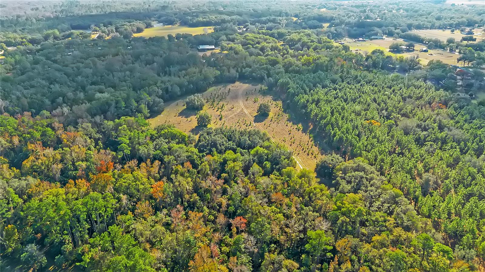 27737 COUNTY ROAD 44A, EUSTIS, FL — photo 129