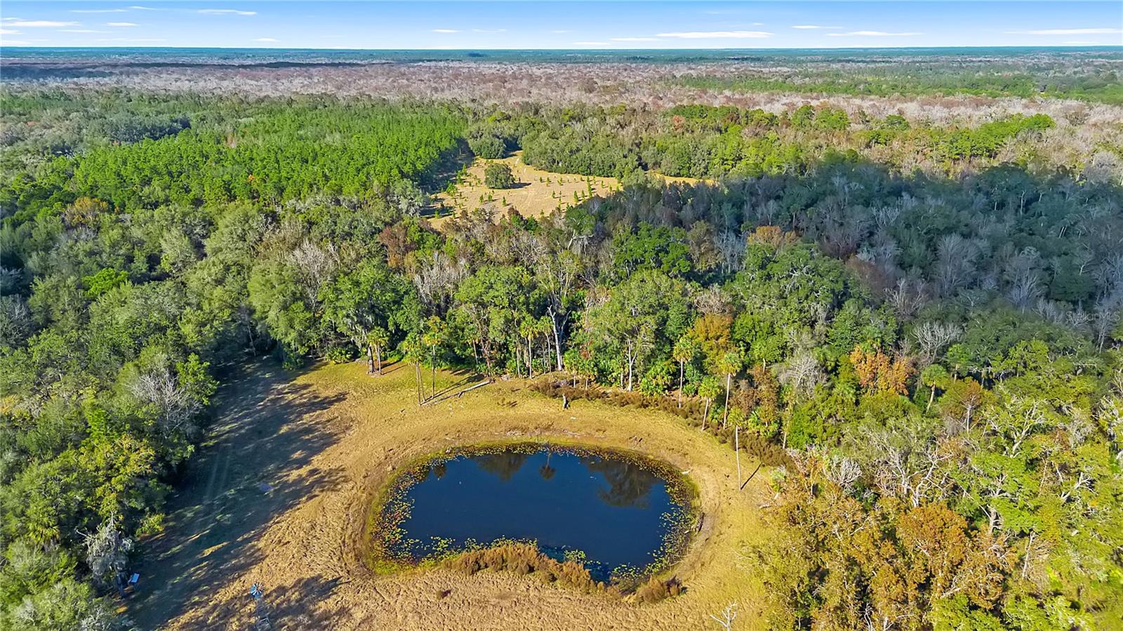 27737 COUNTY ROAD 44A, EUSTIS, FL — photo 132