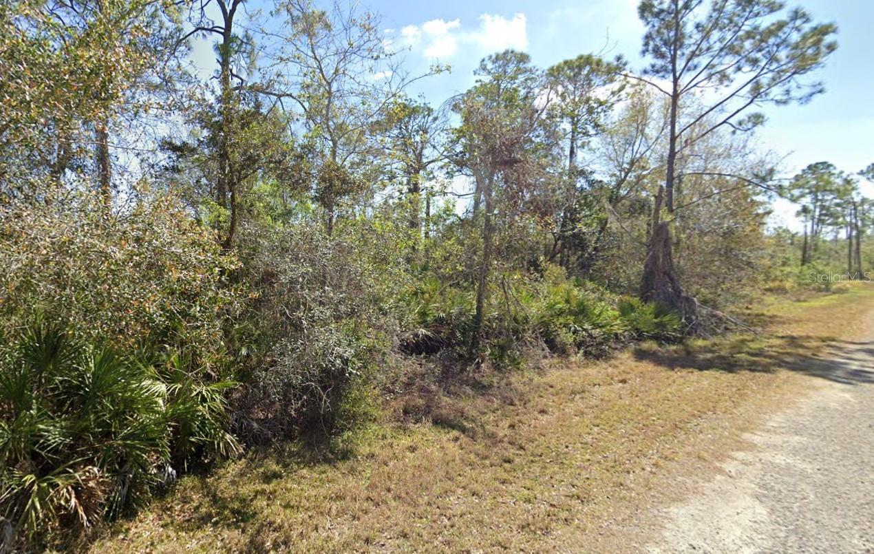 810 PACIFIC ST, LAKE PLACID, FL