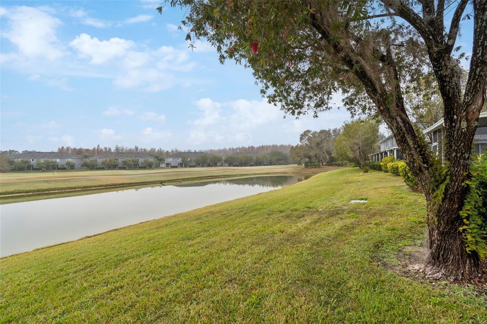 18214 PARADISE POINT DR, TAMPA, FL — photo 31