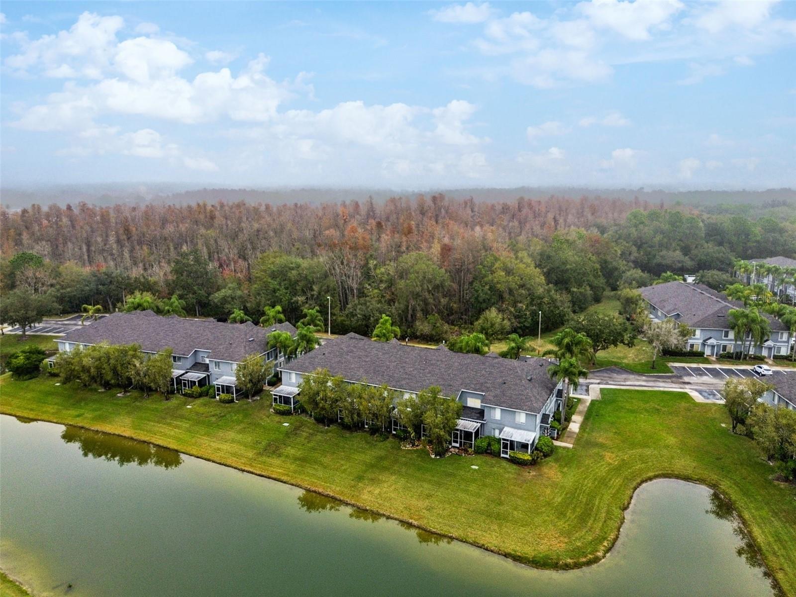 18214 PARADISE POINT DR, TAMPA, FL — photo 34