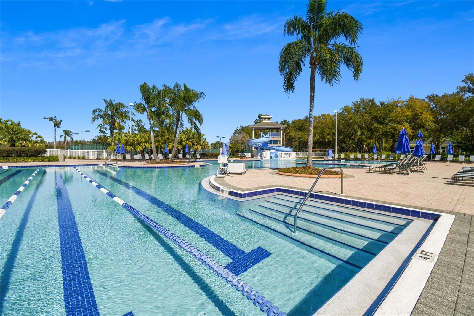 18214 PARADISE POINT DR, TAMPA, FL — photo 41