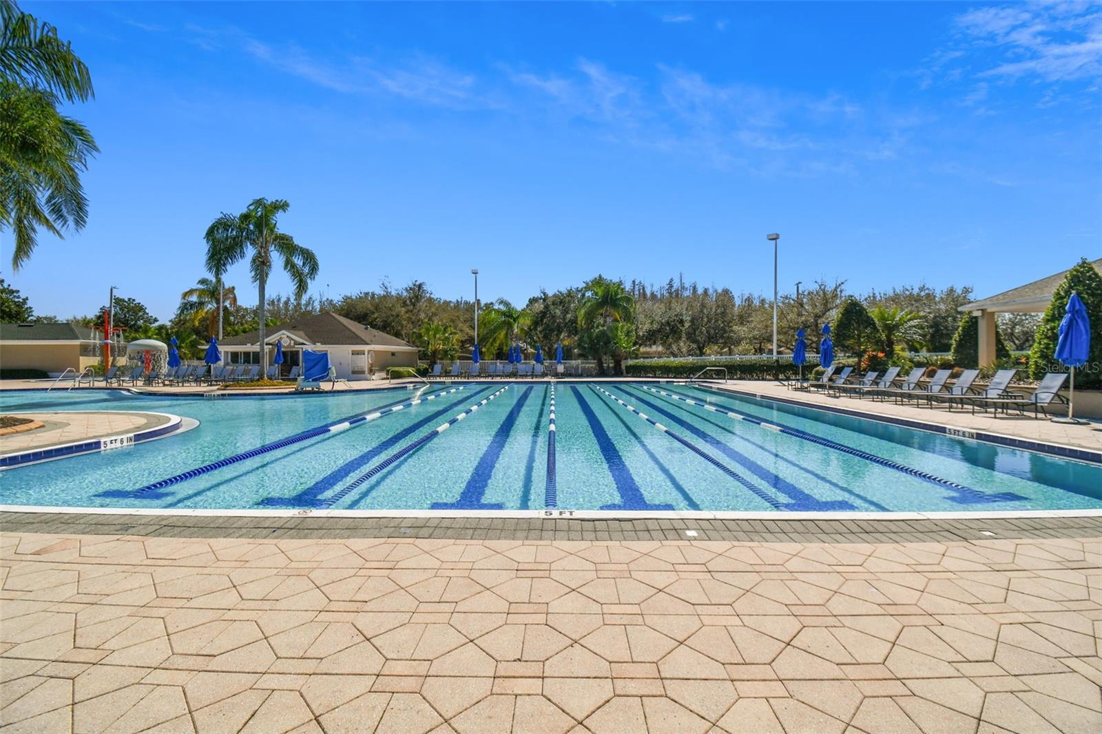 18214 PARADISE POINT DR, TAMPA, FL — photo 42